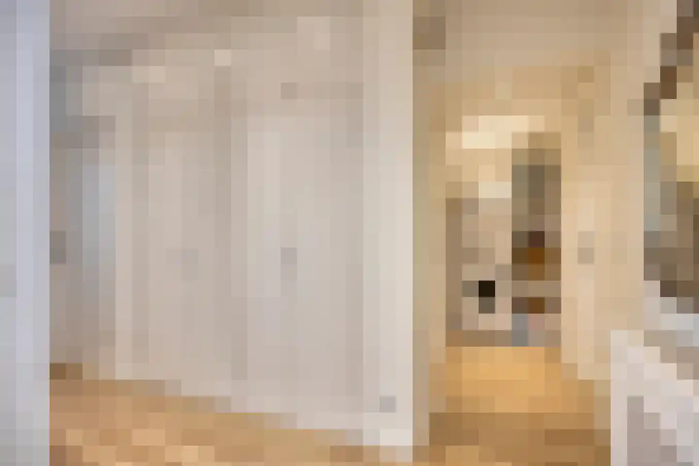 Soestdijksekade 727 Den Haag thumbnail 19