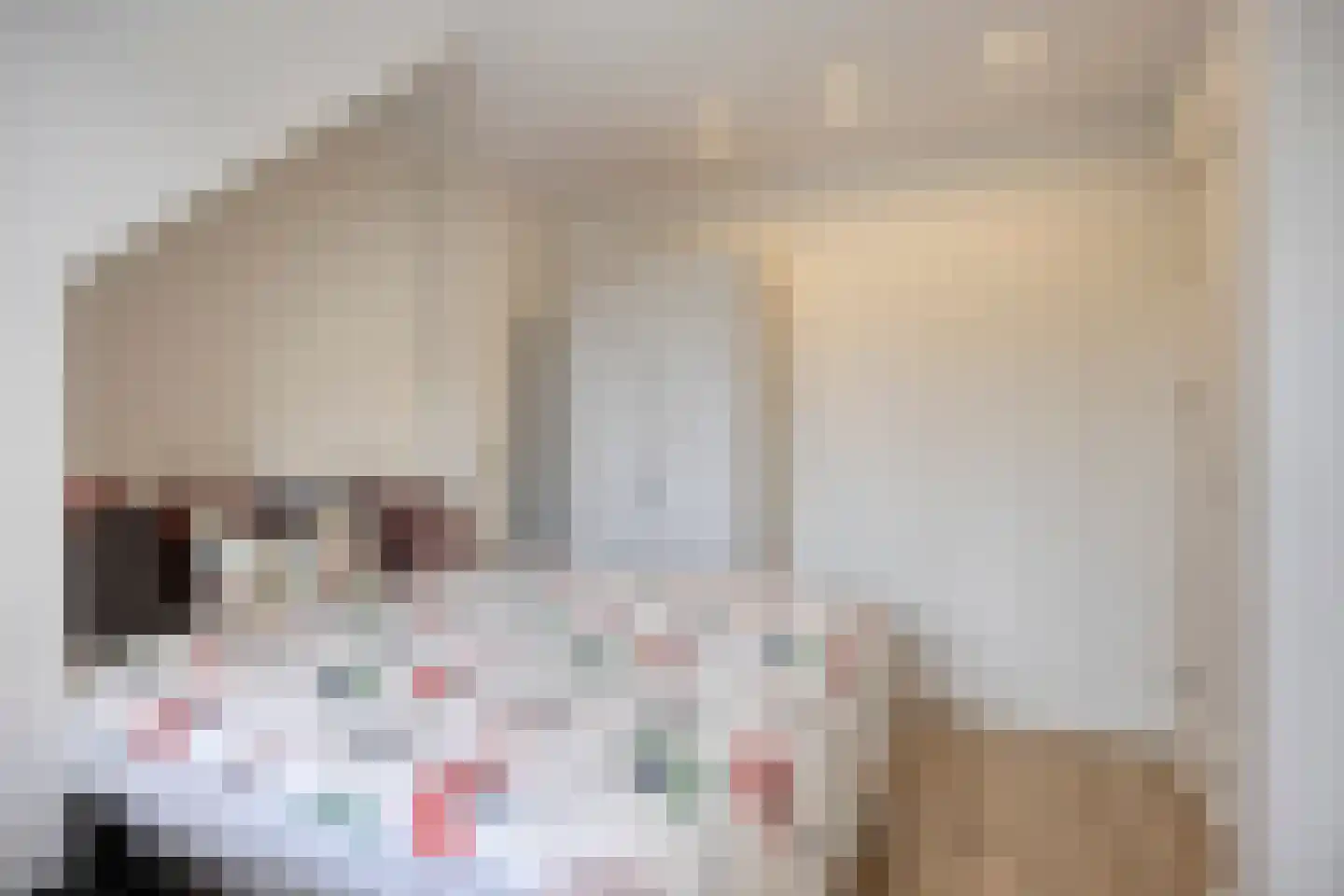 Soestdijksekade 727 Den Haag thumbnail 21
