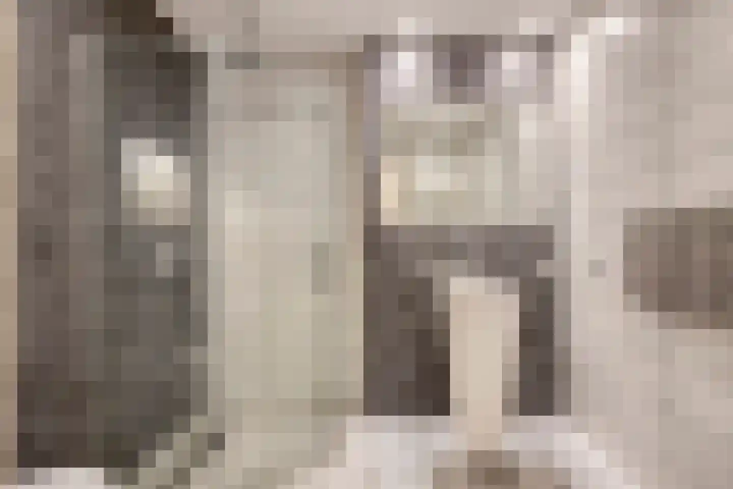 Soestdijksekade 727 Den Haag thumbnail 22