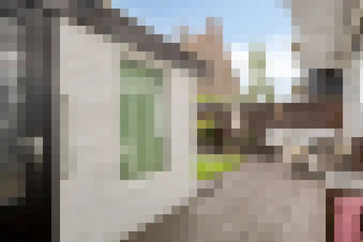 Soestdijksekade 727 Den Haag thumbnail 31