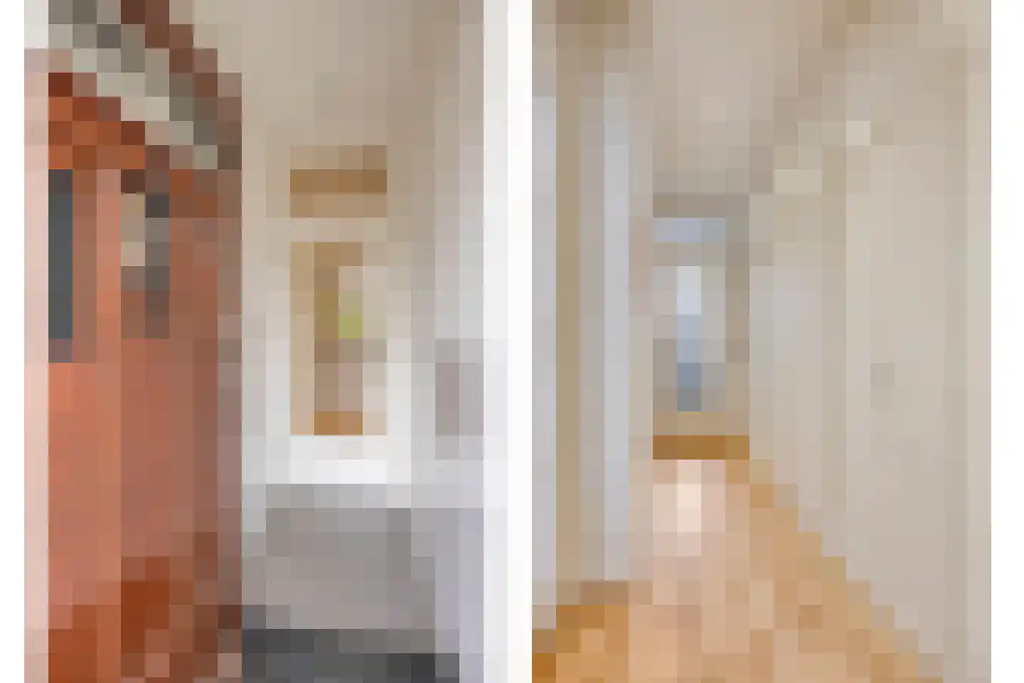 Soestdijksekade 727 Den Haag thumbnail 37