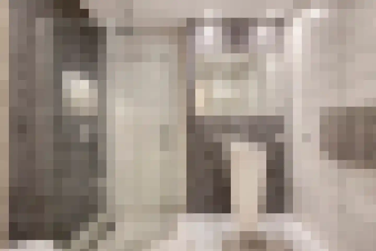 Soestdijksekade 727 Den Haag thumbnail 4