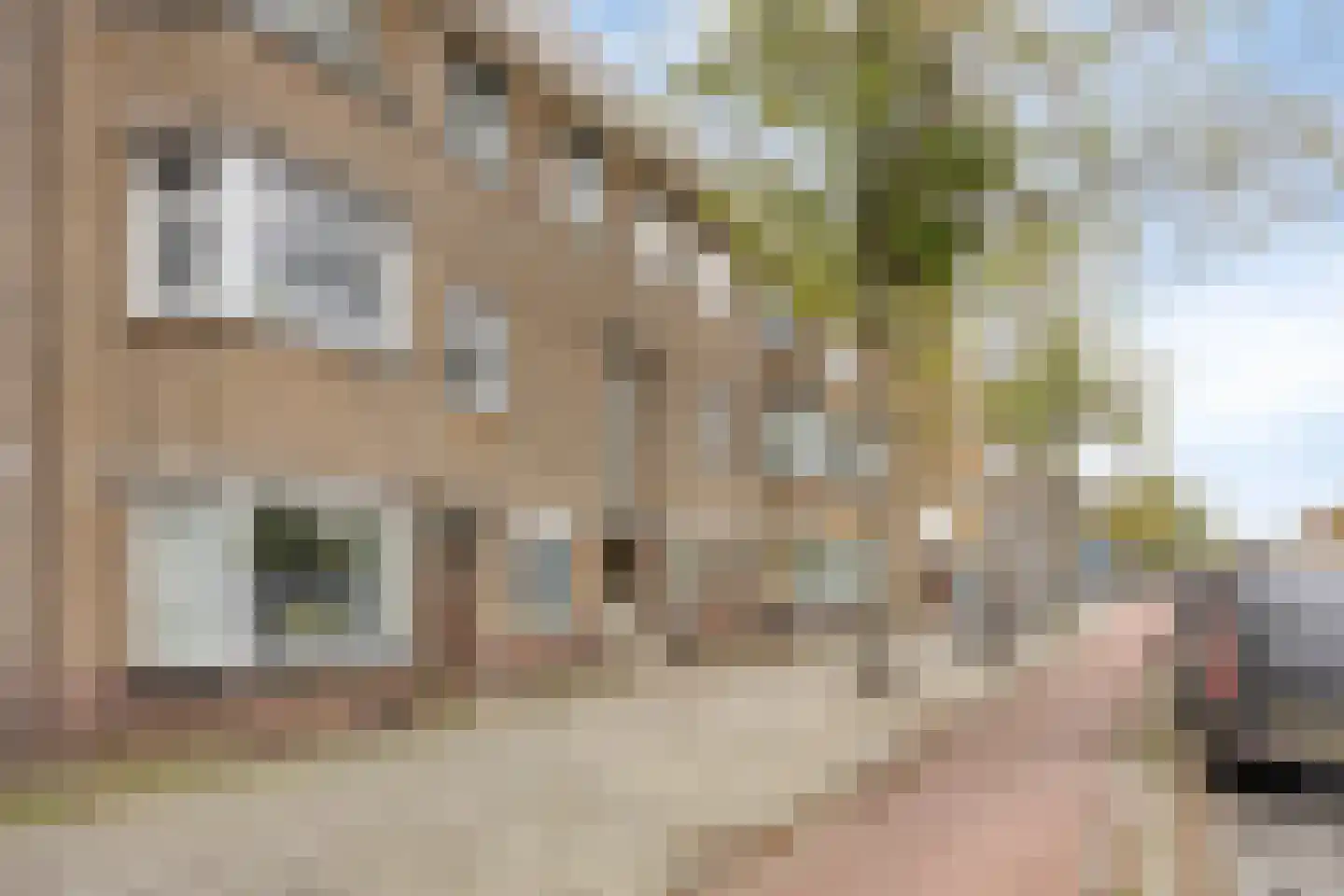 Soestdijksekade 727 Den Haag thumbnail 41