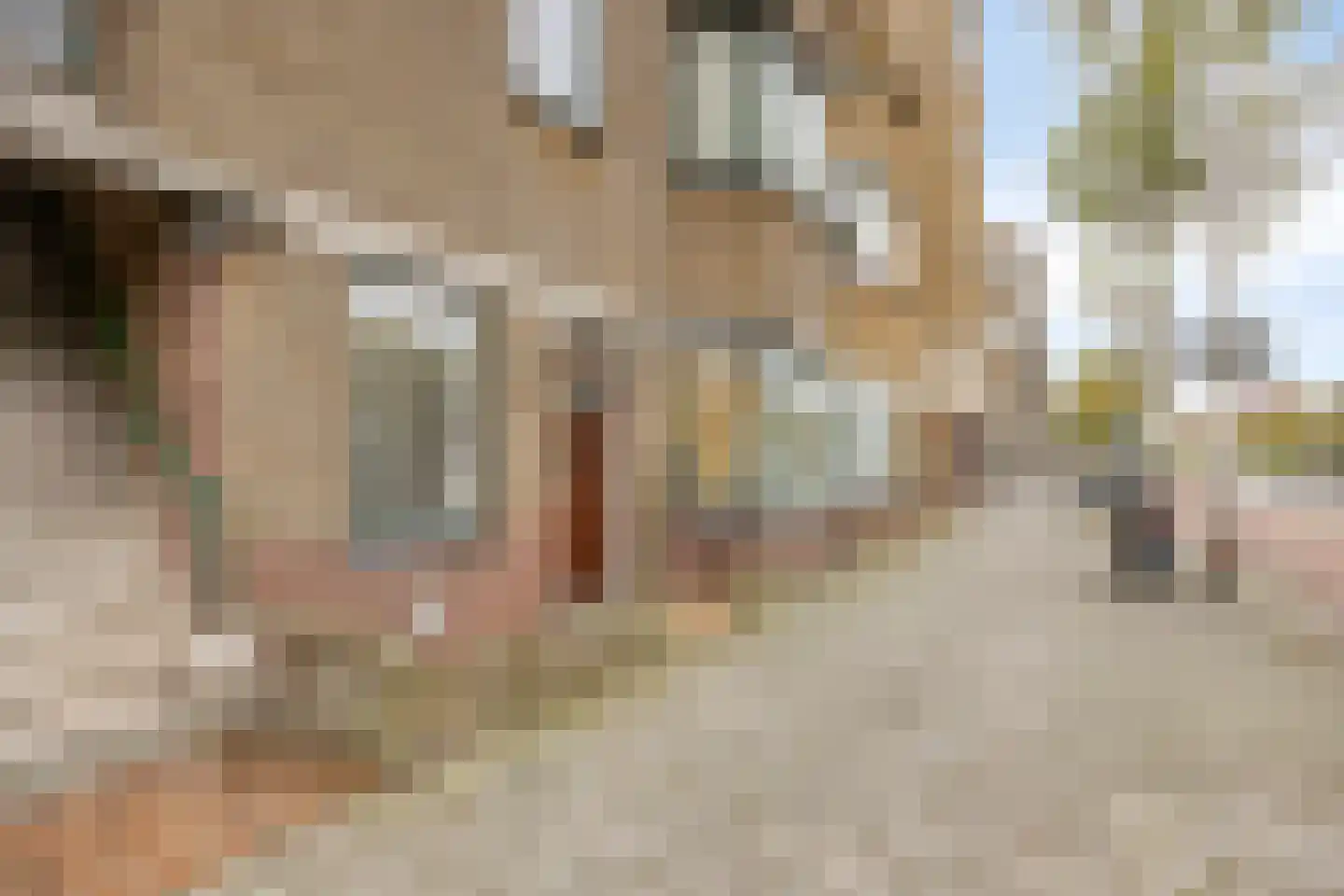 Soestdijksekade 727 Den Haag thumbnail 43