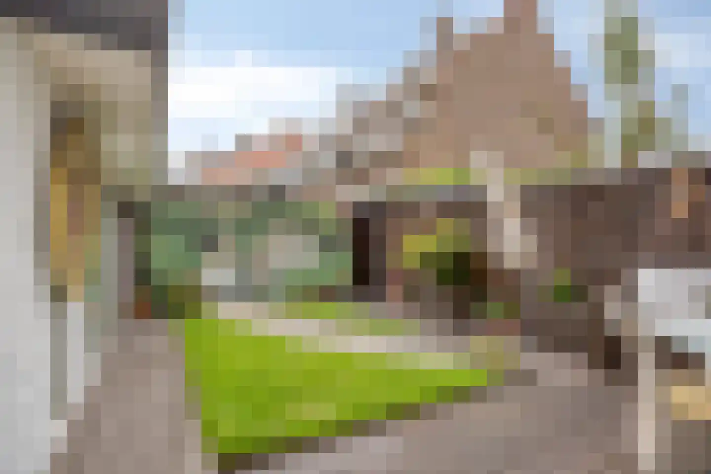 Soestdijksekade 727 Den Haag thumbnail 5