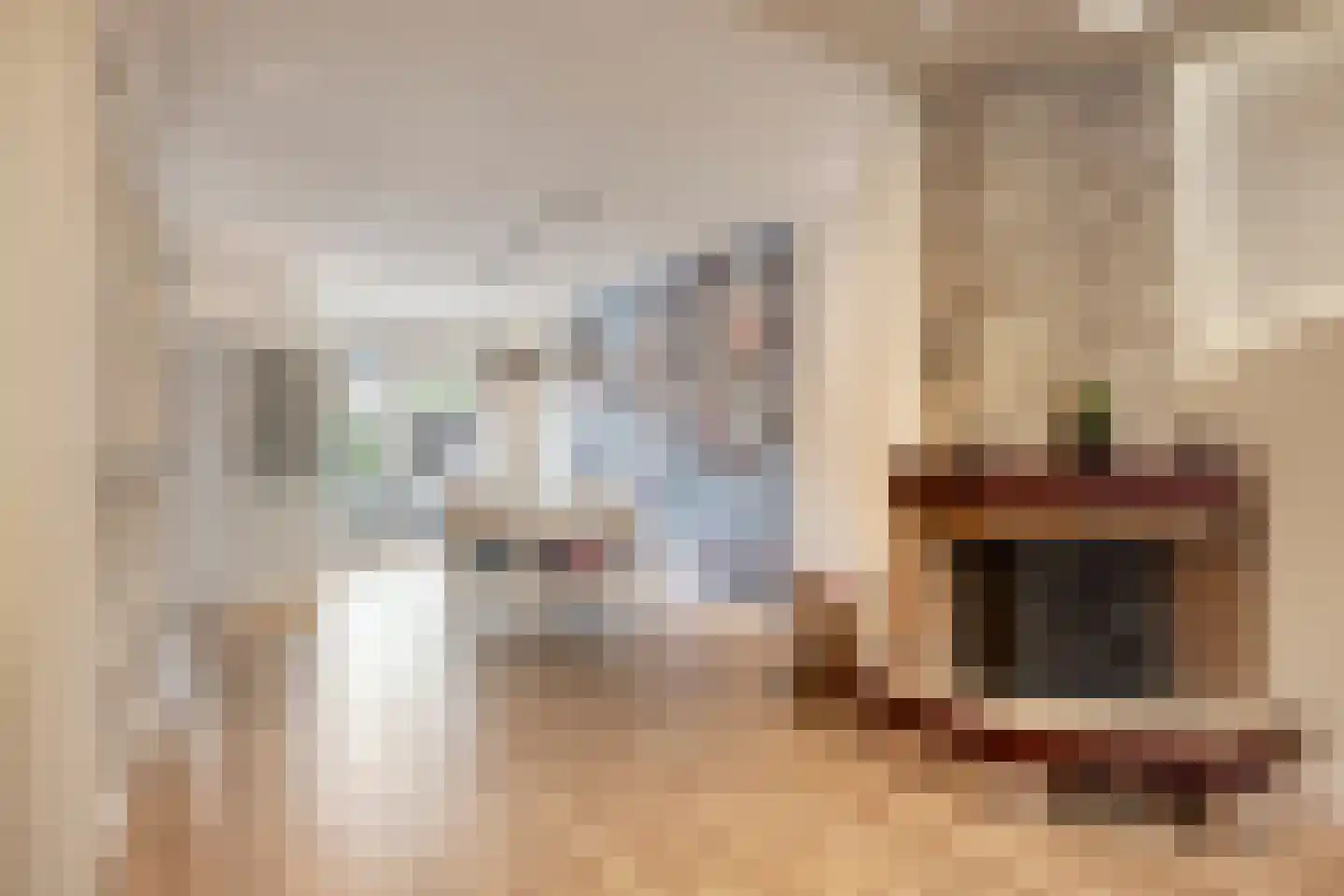 Soestdijksekade 727 Den Haag thumbnail 6
