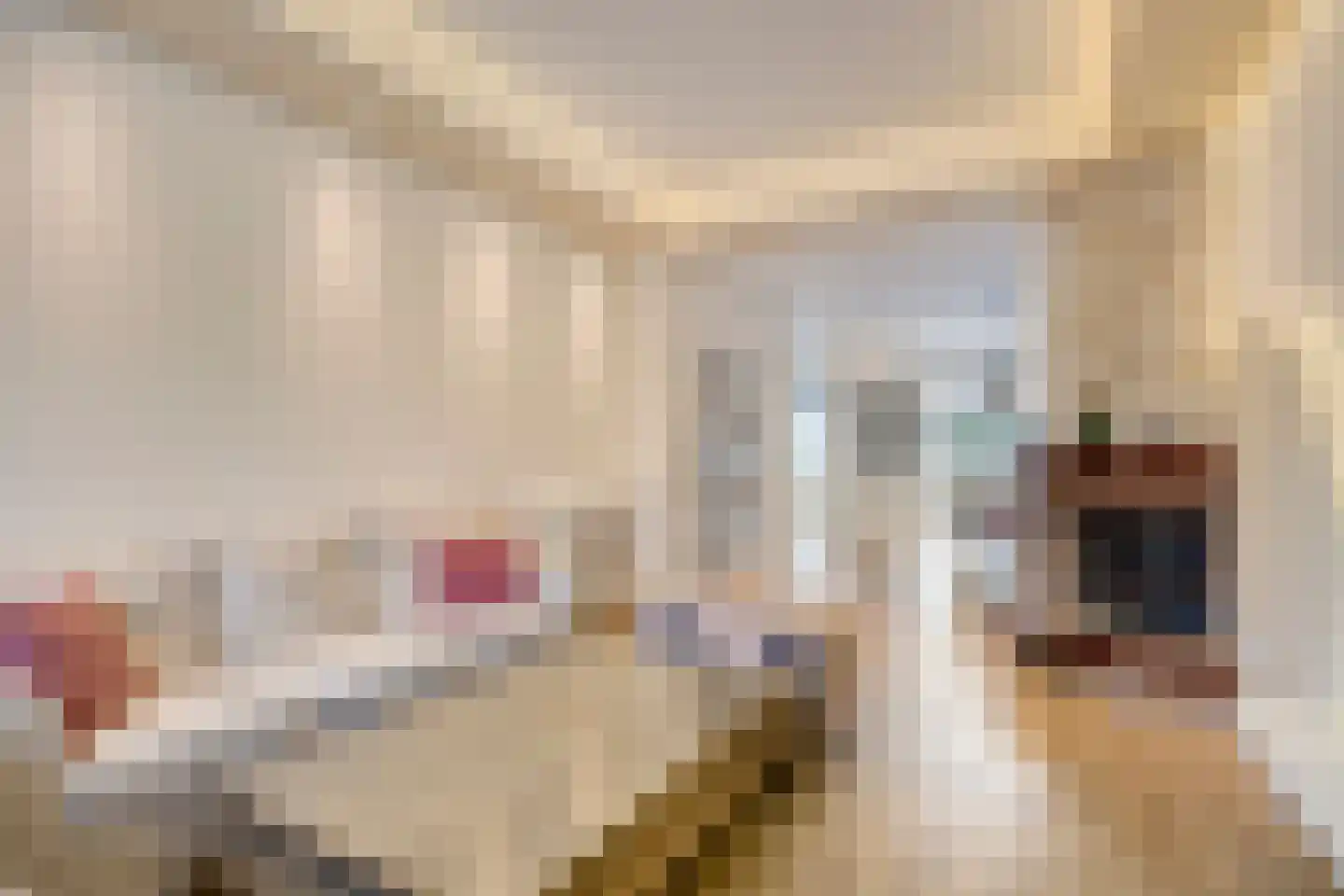 Soestdijksekade 727 Den Haag thumbnail 7