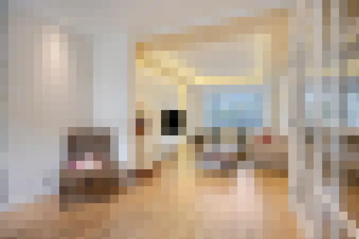Soestdijksekade 727 Den Haag thumbnail 8