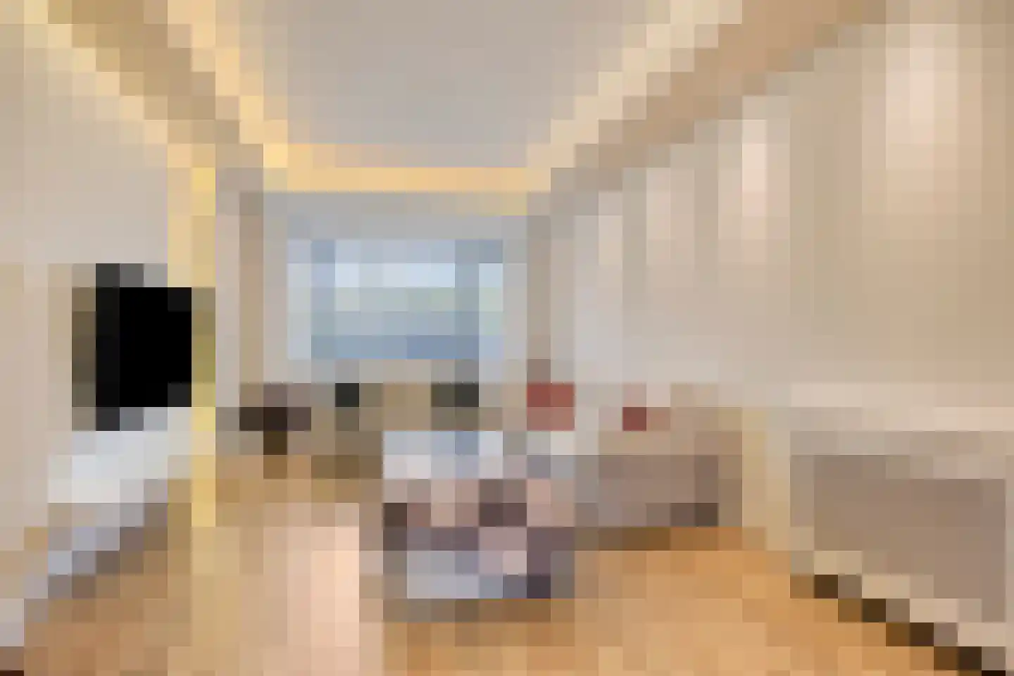 Soestdijksekade 727 Den Haag thumbnail 9