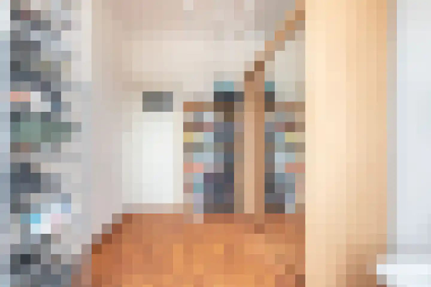 Soestdijksekade 731 Den Haag thumbnail 15