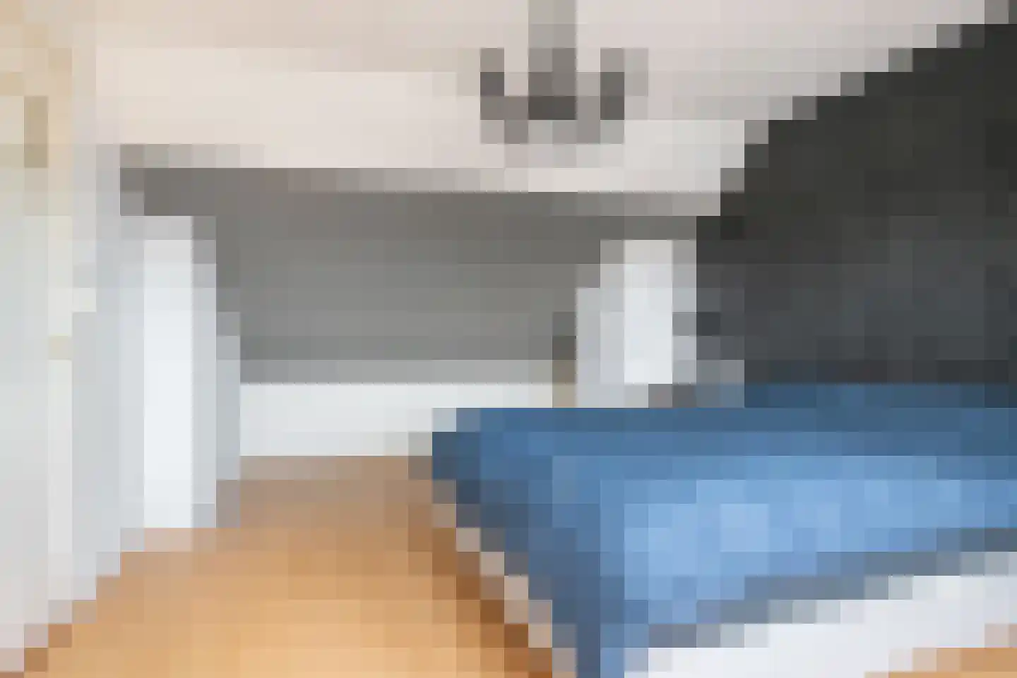 Soestdijksekade 731 Den Haag thumbnail 19