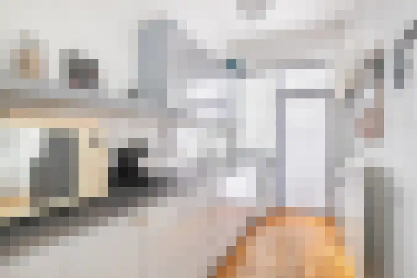 Soestdijksekade 731 Den Haag thumbnail 4