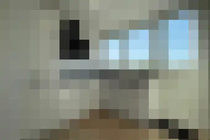 Soestdijksekade 733 B Den Haag thumbnail 10