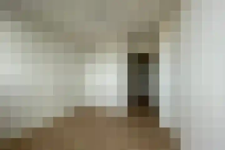 Soestdijksekade 733 B Den Haag thumbnail 11