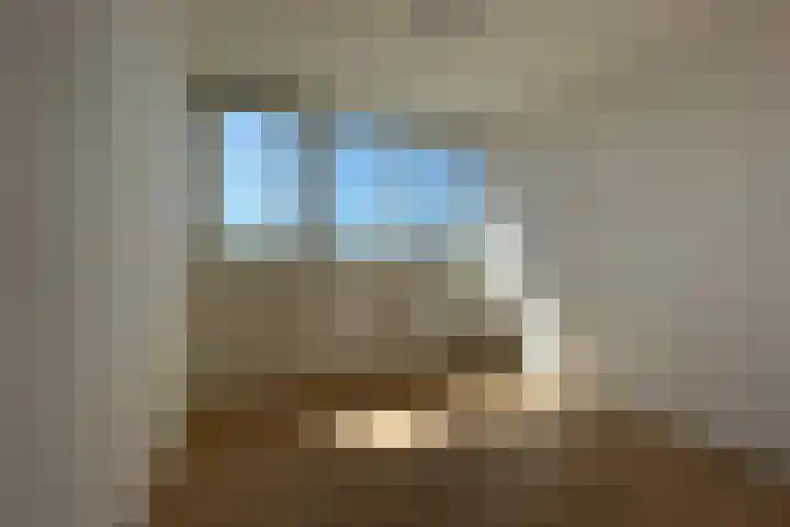 Soestdijksekade 733 B Den Haag thumbnail 12