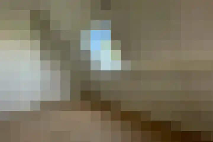 Soestdijksekade 733 B Den Haag thumbnail 13