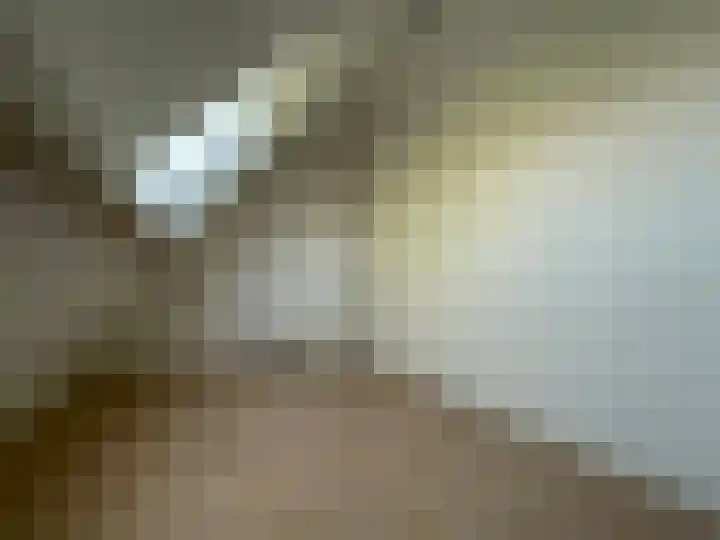 Soestdijksekade 733 B Den Haag thumbnail 14