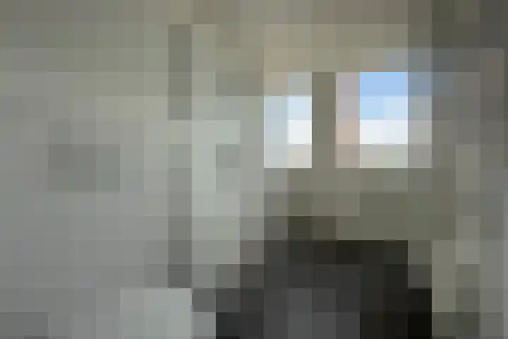 Soestdijksekade 733 B Den Haag thumbnail 15