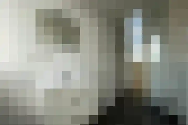 Soestdijksekade 733 B Den Haag thumbnail 4