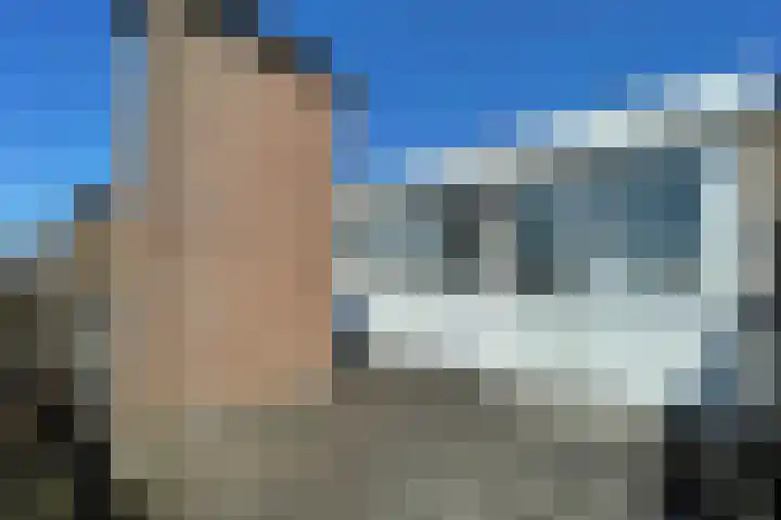 Soestdijksekade 733 B Den Haag thumbnail 6
