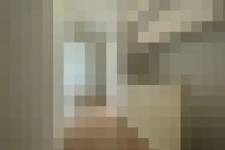 Soestdijksekade 733 B Den Haag thumbnail 7