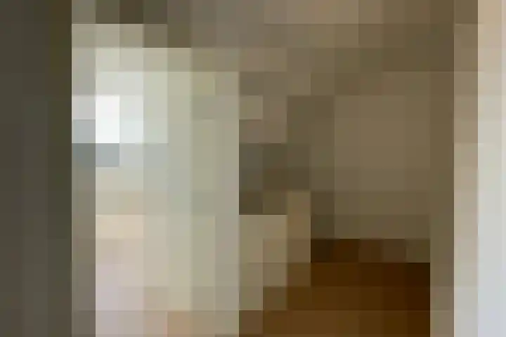 Soestdijksekade 733 B Den Haag thumbnail 8