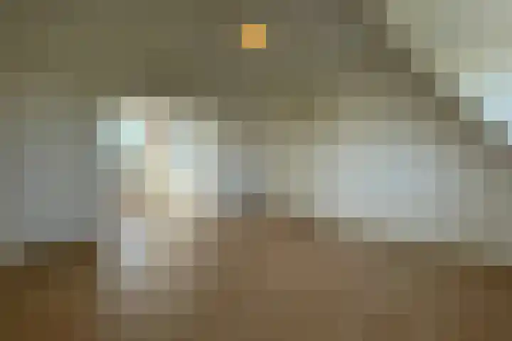 Soestdijksekade 733 B Den Haag thumbnail 9