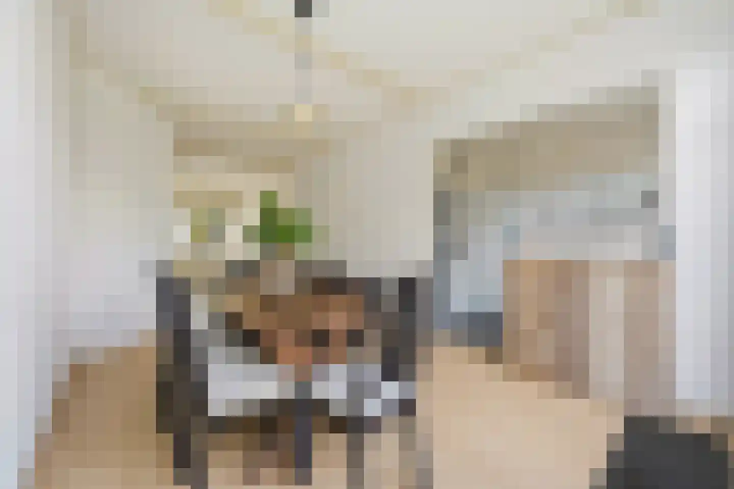 Soestdijksekade 746 Den Haag thumbnail 10