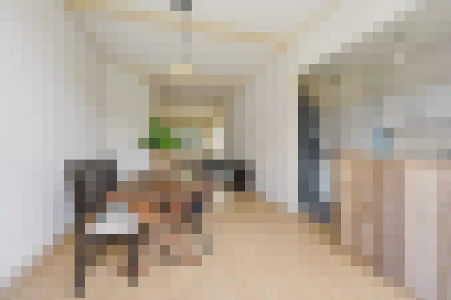 Soestdijksekade 746 Den Haag thumbnail 12