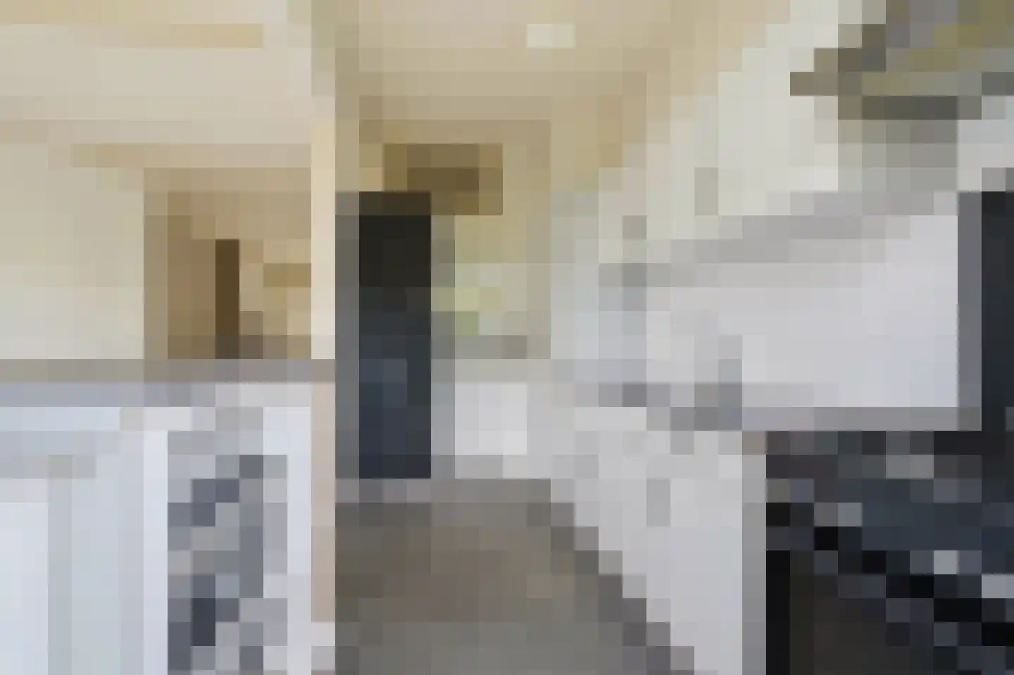 Soestdijksekade 746 Den Haag thumbnail 15