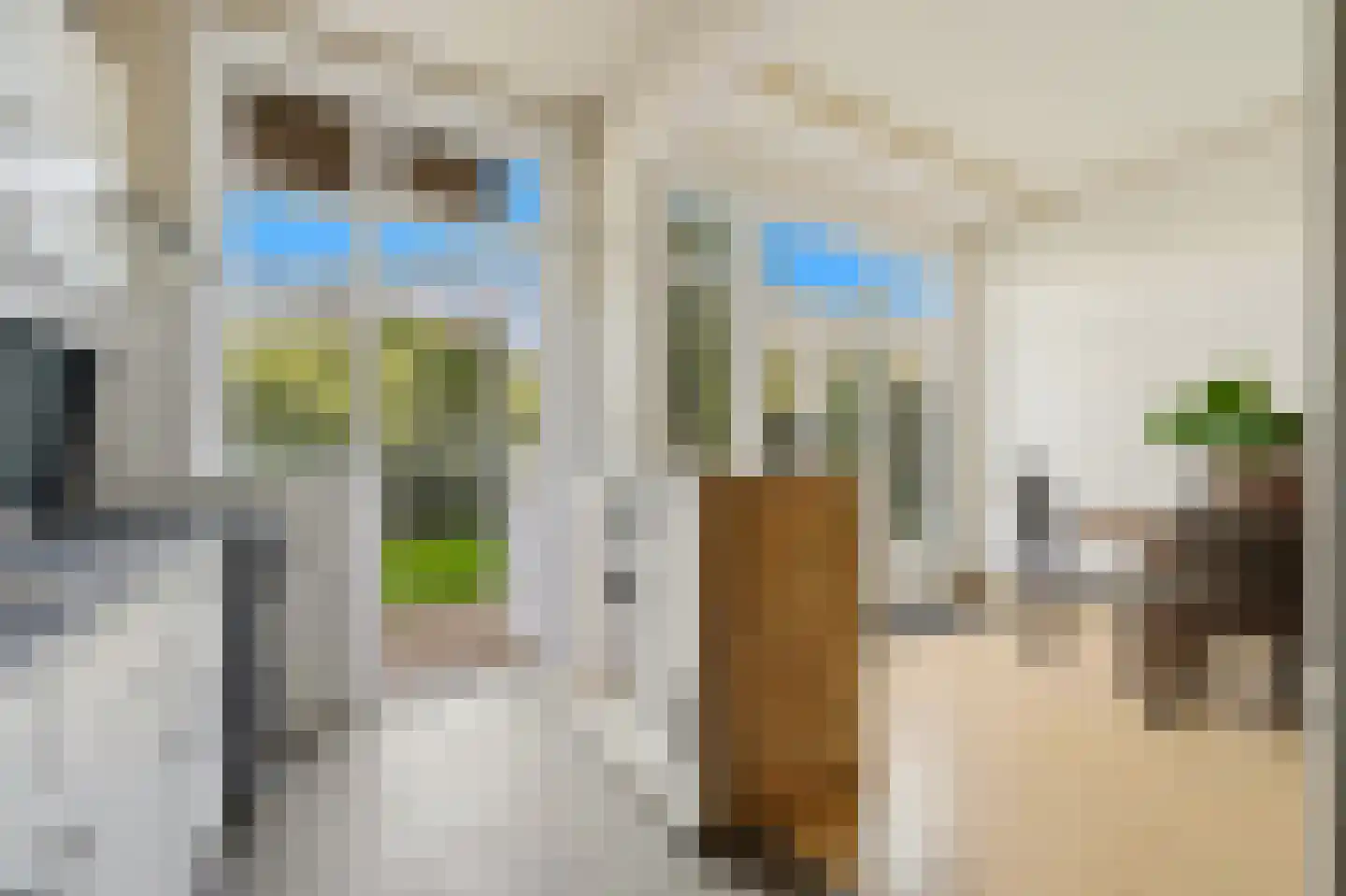 Soestdijksekade 746 Den Haag thumbnail 16