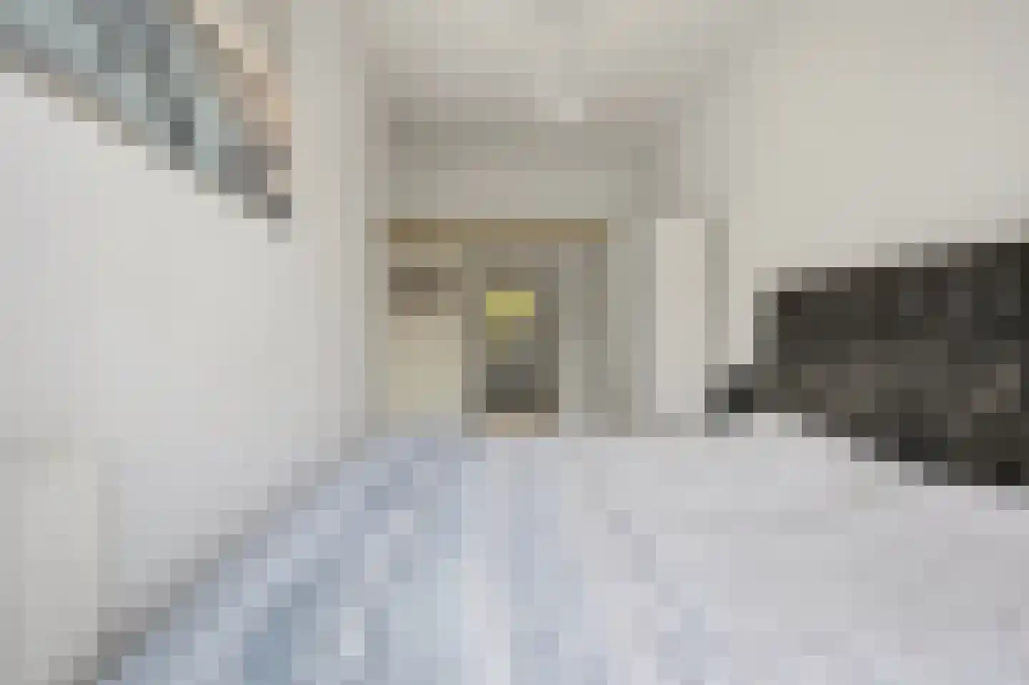 Soestdijksekade 746 Den Haag thumbnail 19