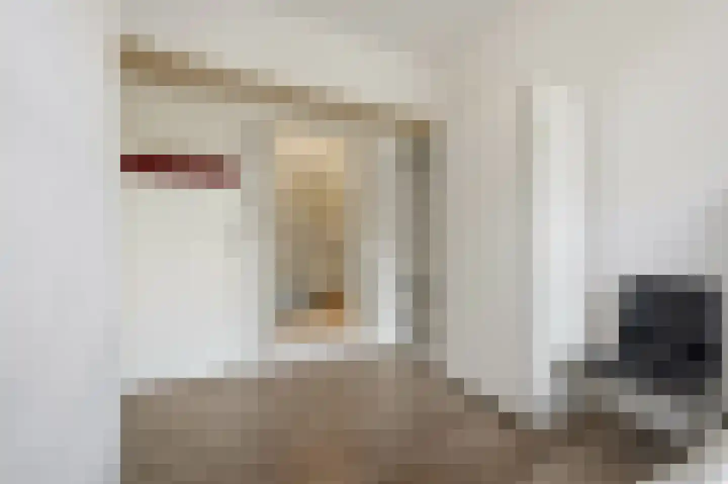 Soestdijksekade 746 Den Haag thumbnail 21