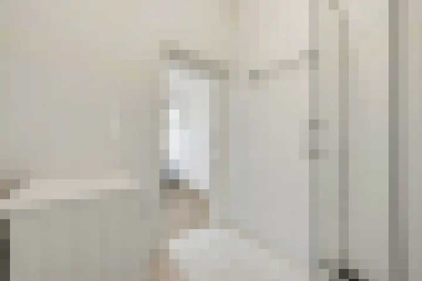 Soestdijksekade 746 Den Haag thumbnail 23