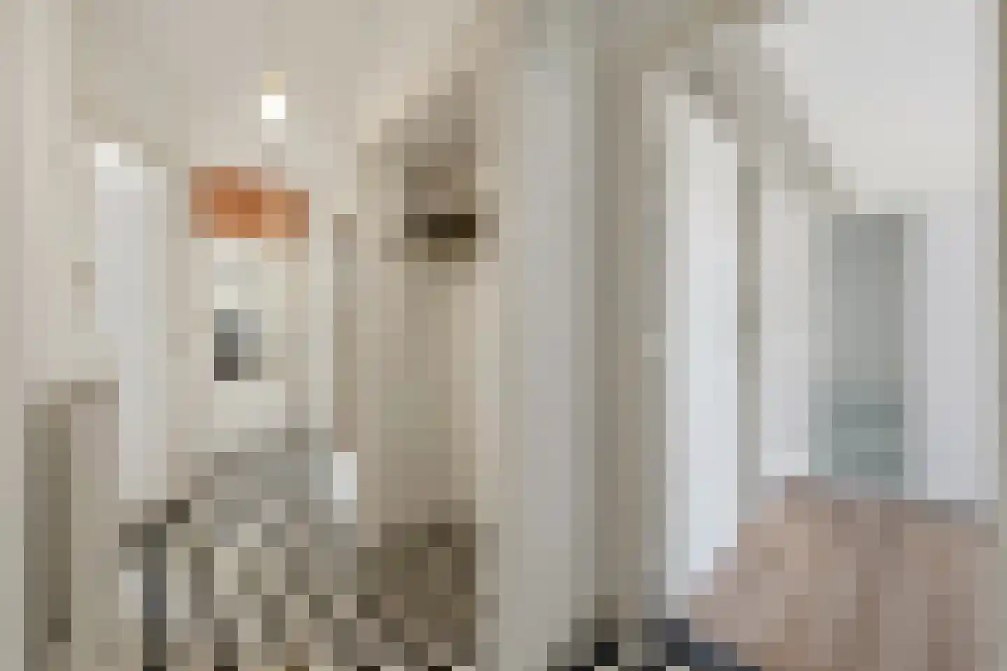 Soestdijksekade 746 Den Haag thumbnail 26