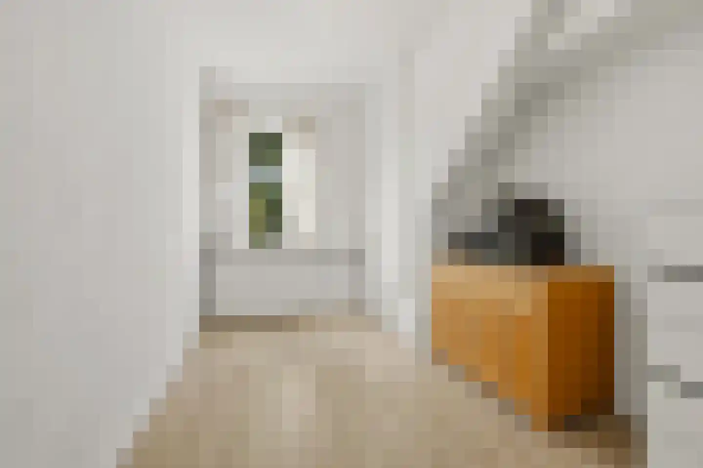Soestdijksekade 746 Den Haag thumbnail 27