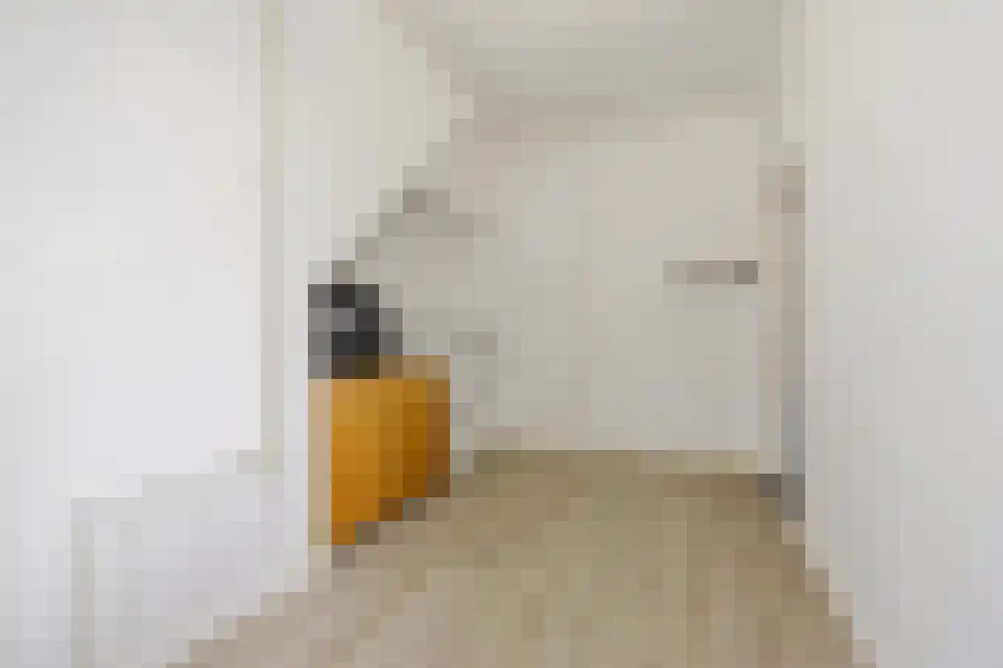 Soestdijksekade 746 Den Haag thumbnail 28
