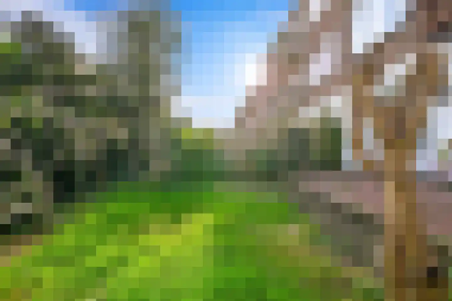 Soestdijksekade 746 Den Haag thumbnail 4