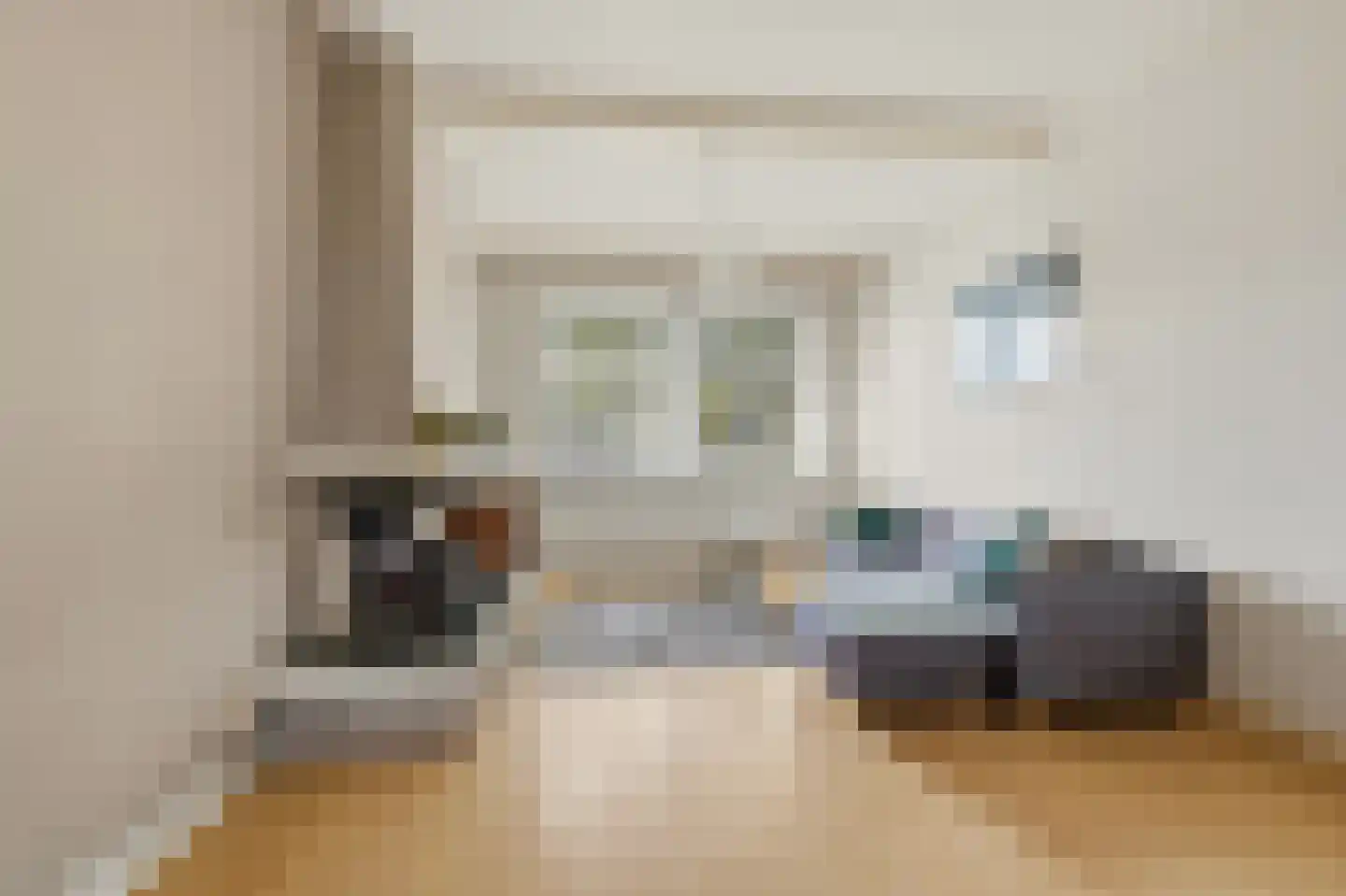 Soestdijksekade 746 Den Haag thumbnail 6