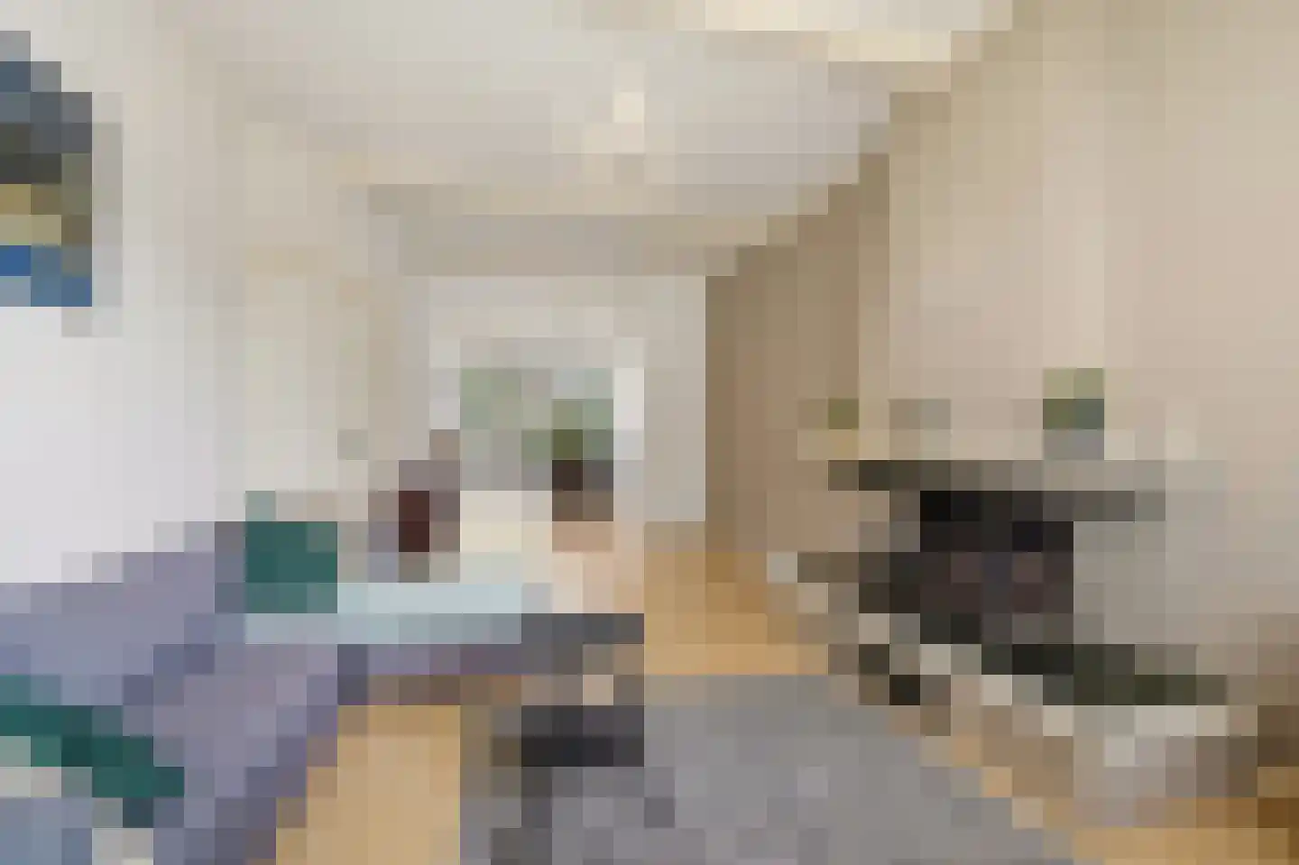 Soestdijksekade 746 Den Haag thumbnail 7