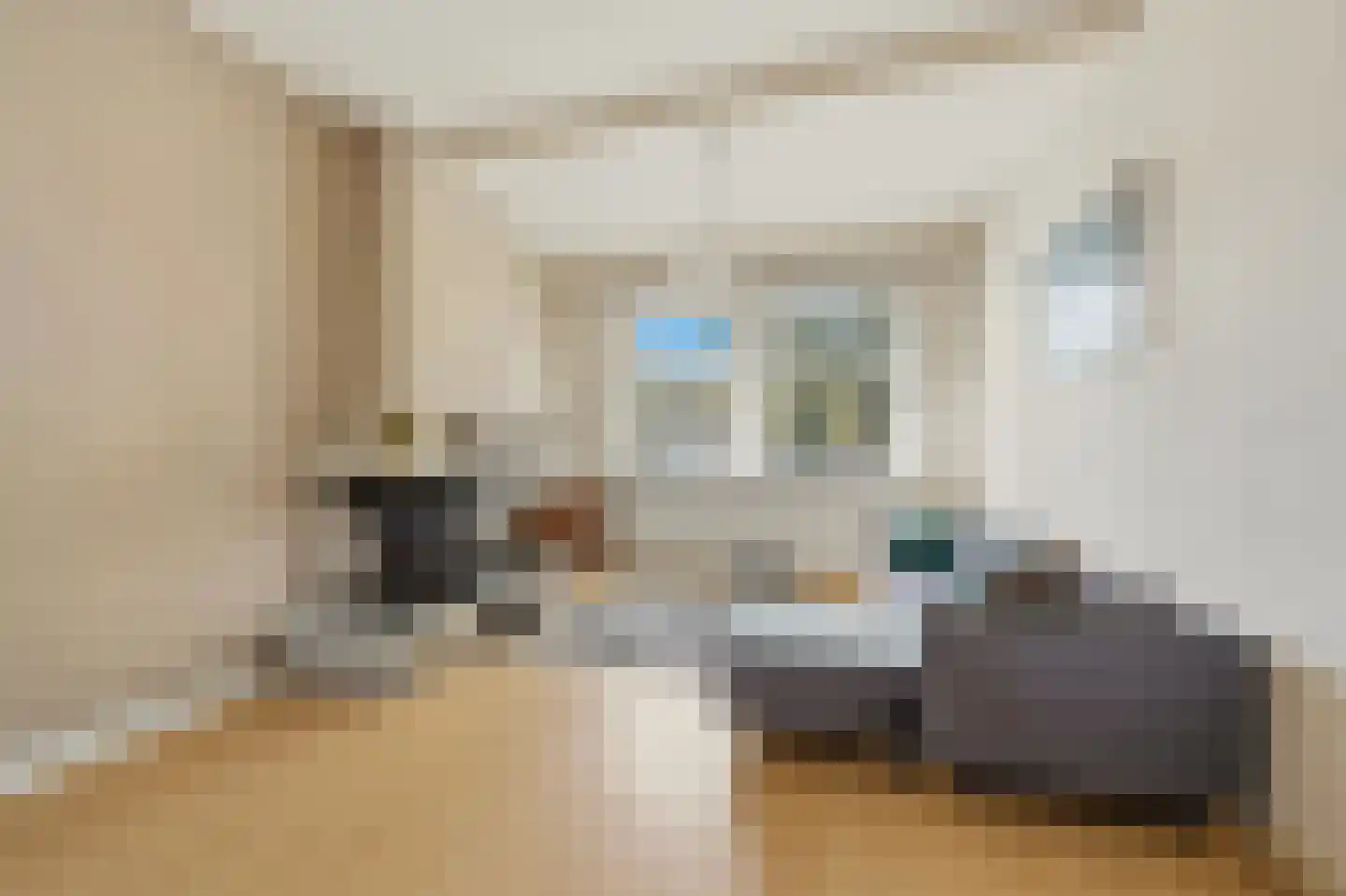 Soestdijksekade 746 Den Haag thumbnail 8