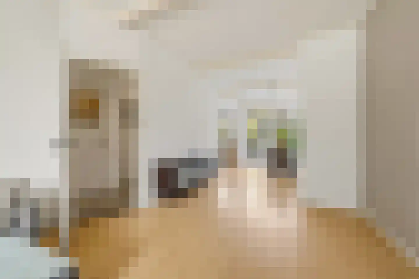 Soestdijksekade 746 Den Haag thumbnail 9