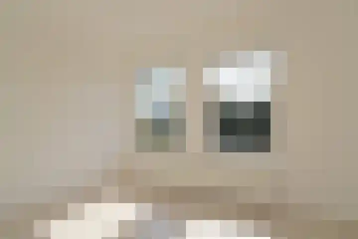 Soestdijksekade 764 Den Haag thumbnail 30