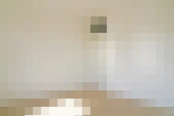 Soestdijksekade 764 Den Haag thumbnail 34