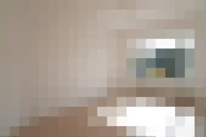 Soestdijksekade 764 Den Haag thumbnail 4