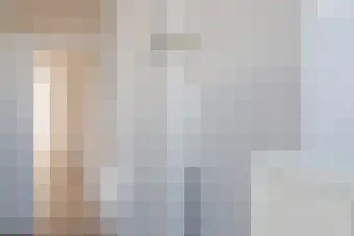 Soestdijksekade 764 Den Haag thumbnail 52
