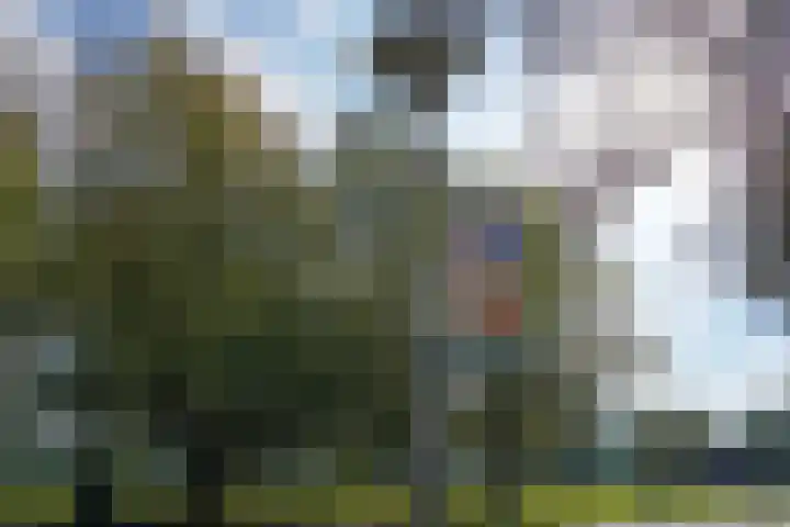 Soestdijksekade 764 Den Haag thumbnail 58