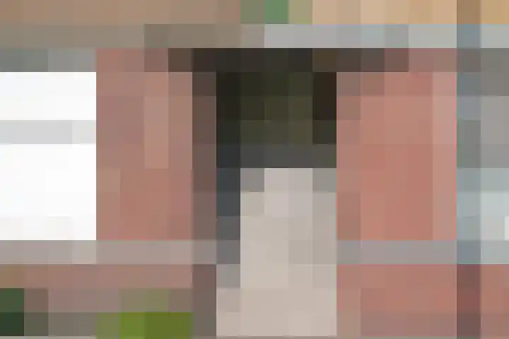 Soestdijksekade 764 Den Haag thumbnail 6