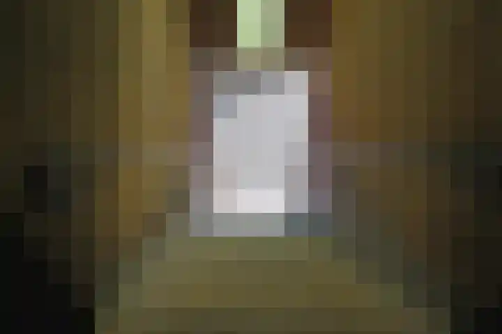 Soestdijksekade 764 Den Haag thumbnail 7
