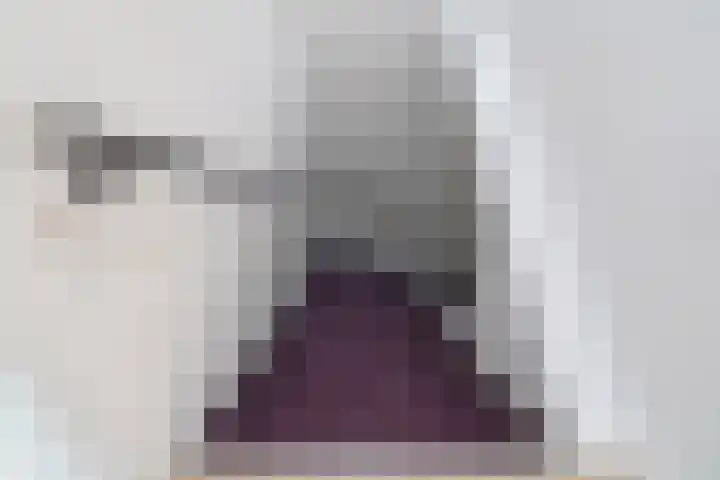 Soestdijksekade 764 Den Haag thumbnail 9